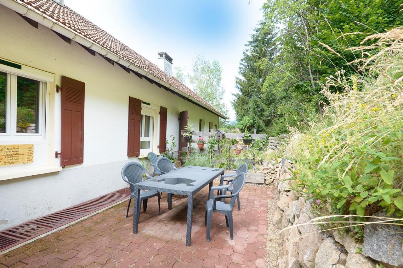 Le Ptit Bonheur - Avec Vue Montagne Et Terrasse * La Bresse